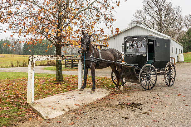 istock amish horse and buggy 503984440