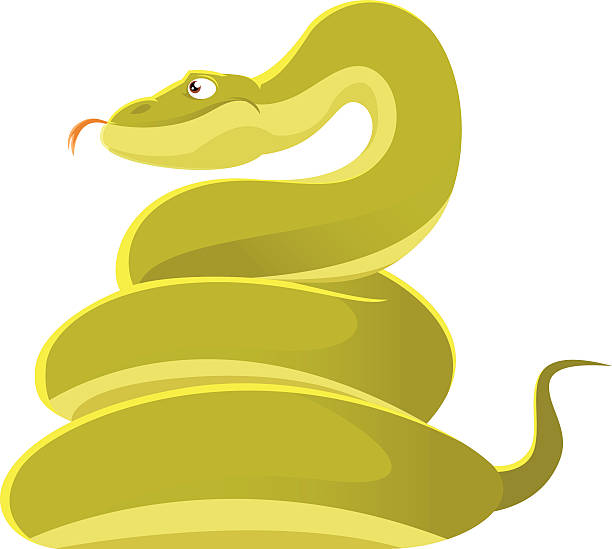 Smiling Cartoon Snake Stock Illustration - Download Image Now - Anaconda -  Snake, Python - Snake, Green Color - iStock