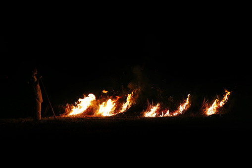 Farmer Burning the grass after harvest in the field. 