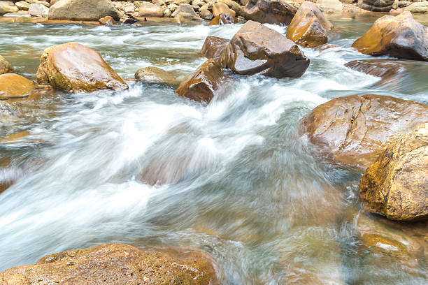istock Tropical water steam 503989216