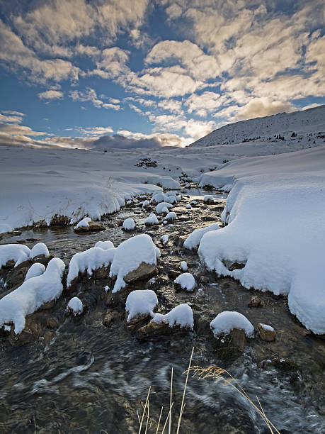 istock Mountain creek in a wintry alpine landscape 503989256