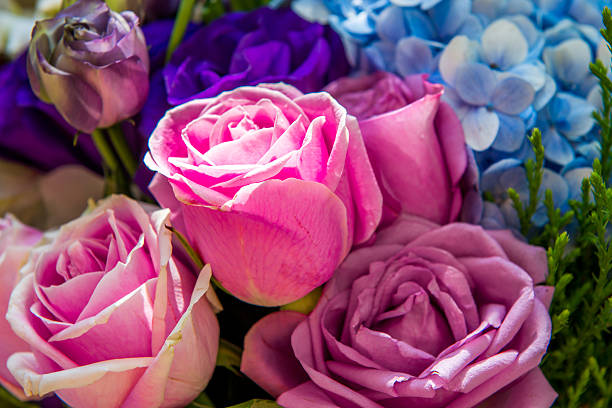 istock Bouquet of rose 503989868