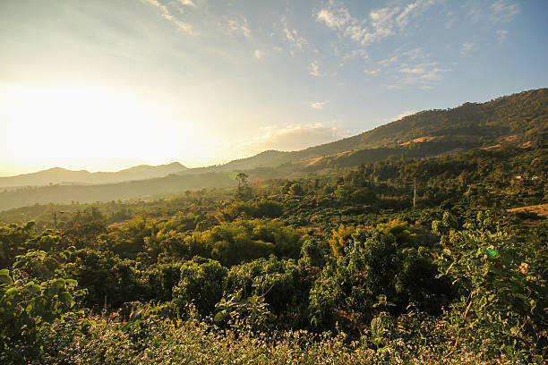 istock Doi Phu Lang Ka Phayao Thailand 503990688
