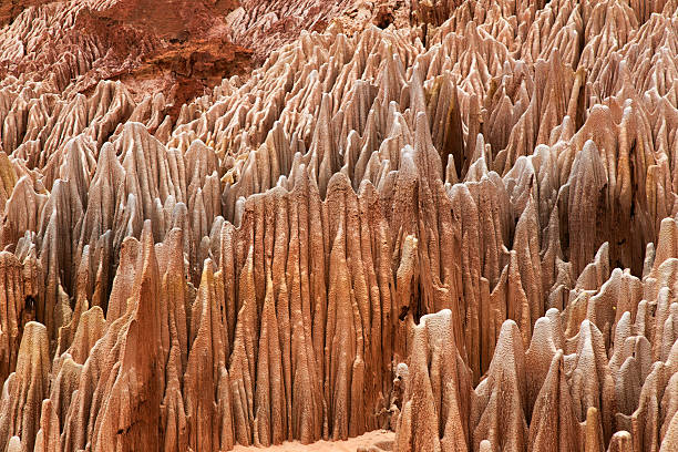 istock Red Tsingy geological landmark in Madagascar 503992612