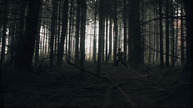 2 700 Kidnap Stock Videos And Royalty Free Footage Istock 2 700 Kidnap Stock Videos And Royalty Free Footage Istock