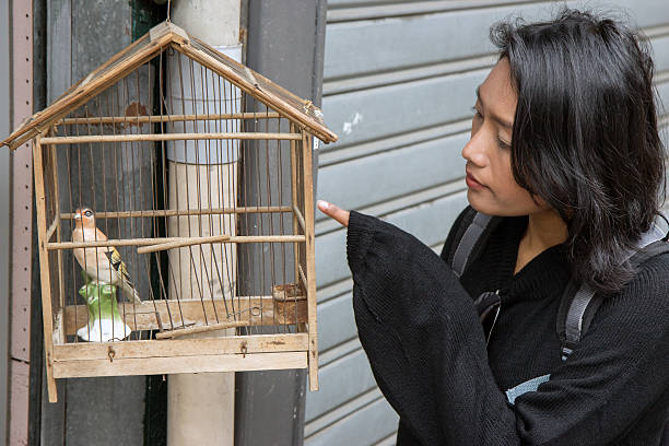 istock woman beside a birdcage with a model bird 504003842