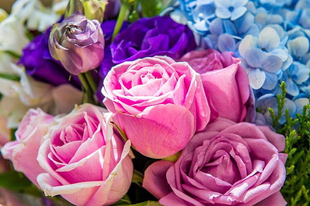 istock Bouquet of rose 504004024