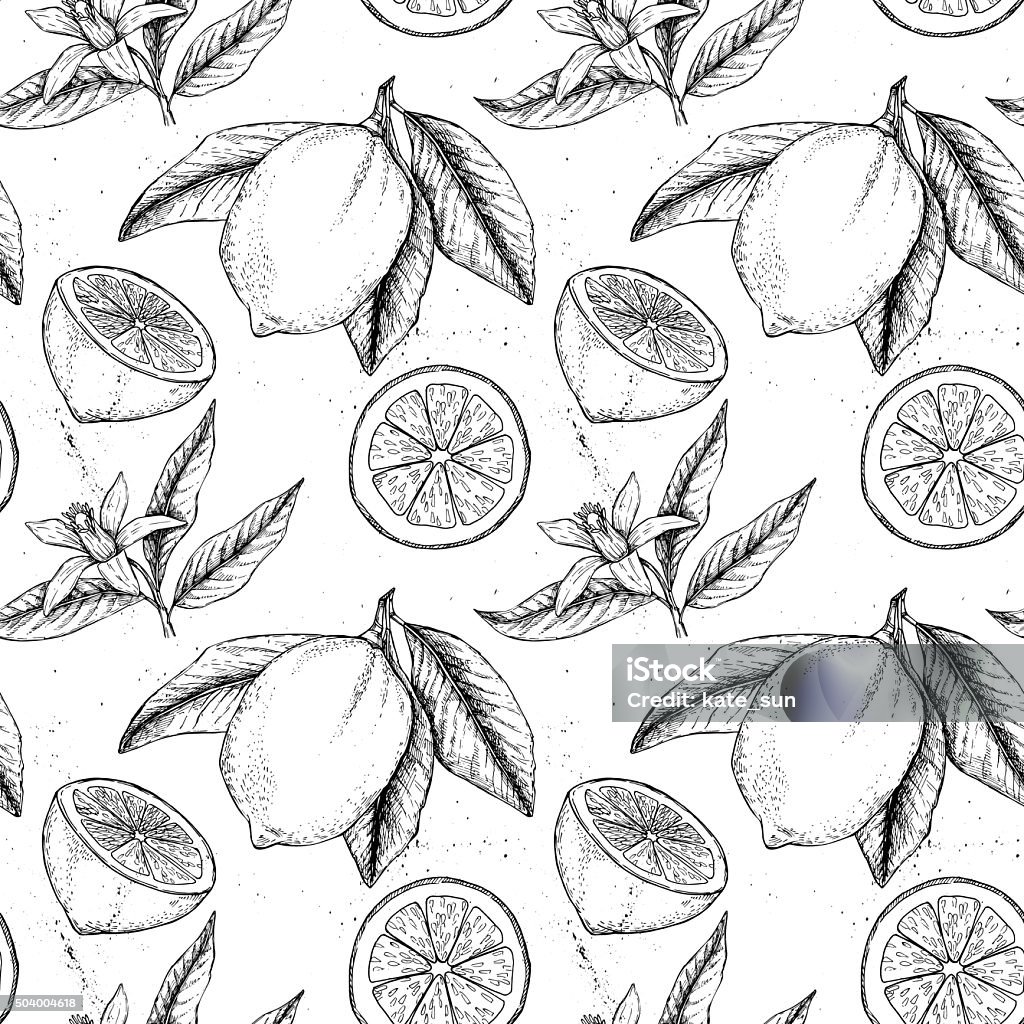Hand drawn vector seamless pattern. Collections of Lemons. Hand drawn vector seamless pattern. Collections of Lemons. Branch with lemon. Lemon blossom Lemon - Fruit stock vector