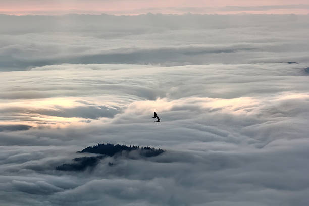 istock Beautiful foggy morning 504004820