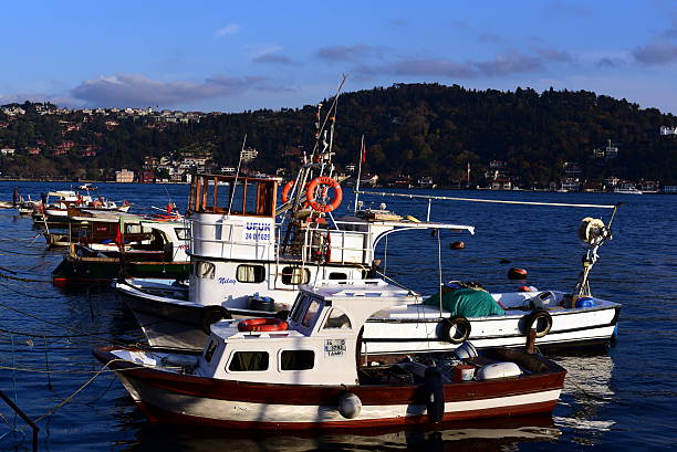 barcos de pesca con el estrecho de bósforo - turkish culture turkey fishing boat fishing fotografías e imágenes de stock