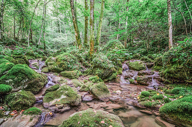 istock Rio Patok River in San Leonardo 504008030