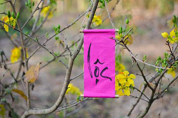 decoración material para lunar - japanese culture single flower flower east fotografías e imágenes de stock