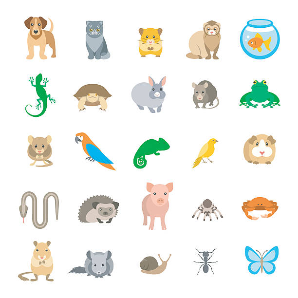 zwierzęta zwierząt wektor płaskie kolorowe ikony ustaw na białym tle - reptile animal snake pets stock illustrations