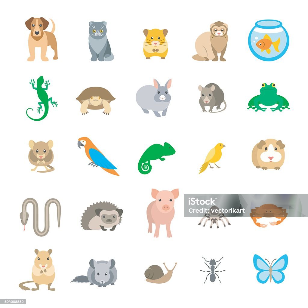 Animals pets vector flat colorful icons set isolated on white Animals pets vector flat colorful icons set. Cartoon illustrations of various domestic animals. Mammals, rodents, amphibian, insects, birds, reptiles, which people take care of at home. Isolated on white. Domestic Cat stock vector