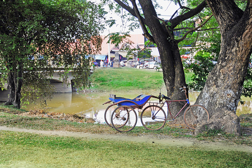 Old bicycle with trailer stay at  a large tree near the river in Cambodia