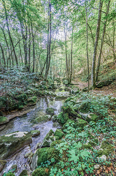 istock Rio Patok River in San Leonardo 504011164