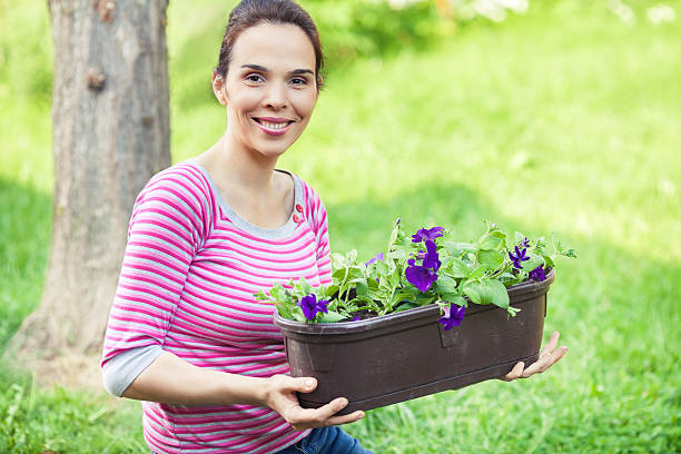 istock Woman in a Garden 504016280