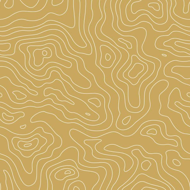 topographic map seamless golden pattern. vector background - 地形學 幅插畫檔、美工圖案、卡通及圖標