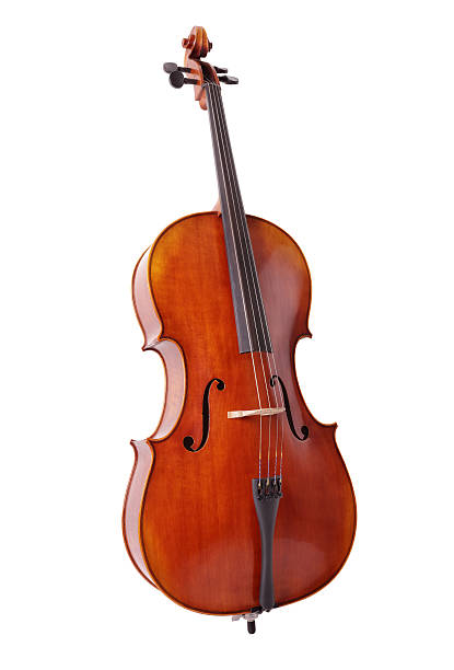 violoncelo isolado no fundo branco - instrumento baixo - fotografias e filmes do acervo