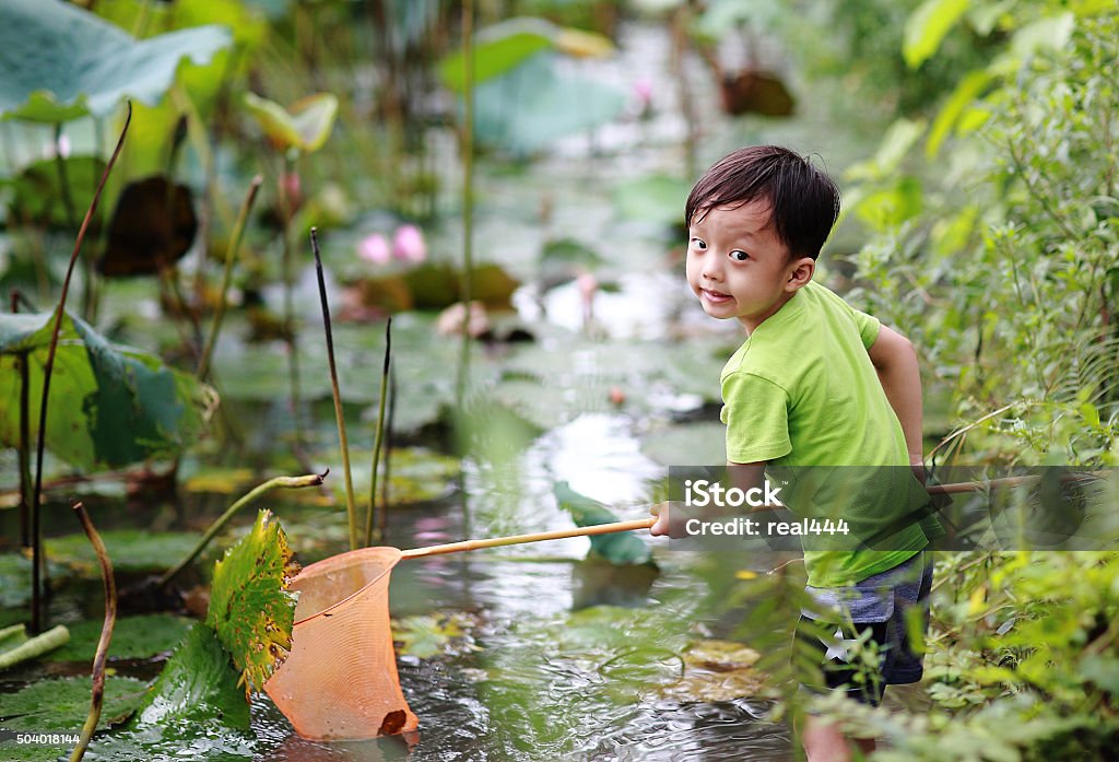 Summer childhood http://i1337.photobucket.com/albums/o665/qinni80125/80479326_zpse69e6c41.jpg 2015 Stock Photo