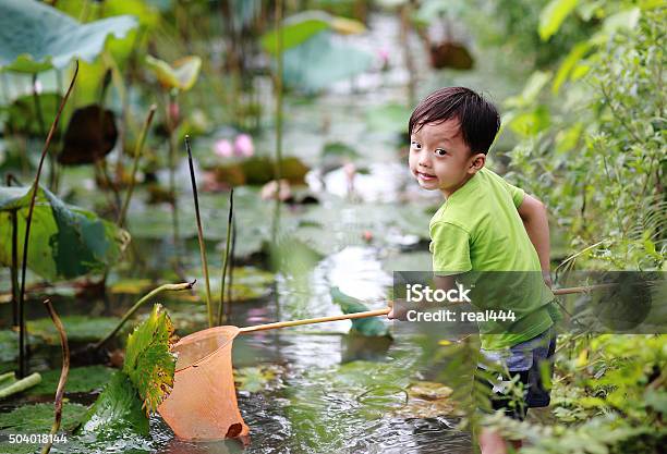 Summer Childhood Stock Photo - Download Image Now - 2015, Adventure, Asia