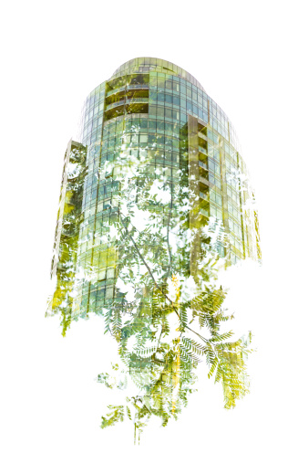 Green building growing out of a tree - double exposure done in-camera