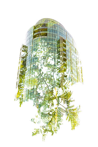 Green Building Green building growing out of a tree - double exposure done in-camera green skyscraper stock pictures, royalty-free photos & images