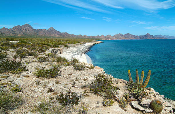 istock Isla Carmen Desert Scene 504030719