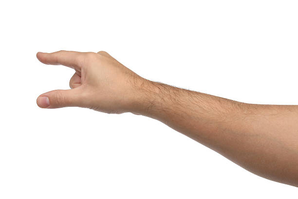 istock Hand signs. Pointing or touching something. Isolated 504031377