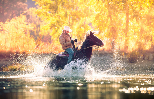 Cowboy paseos a caballo a través del río en la hermosa soleada a la mañana de otoño photo