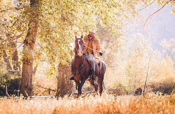 istock Man rides horse at sunrise on crisp fall morning 504031411