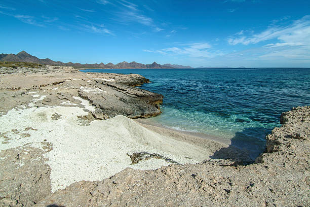 isla carmen desert beach - carmen island photos et images de collection