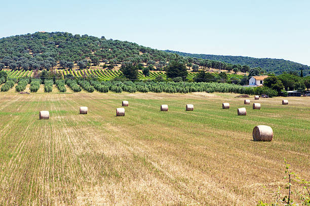 istock Tuscan village landscape 504032027