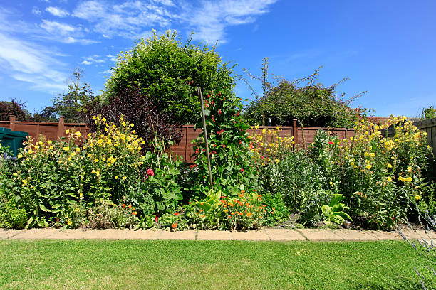 istock English Country Garden 504032087