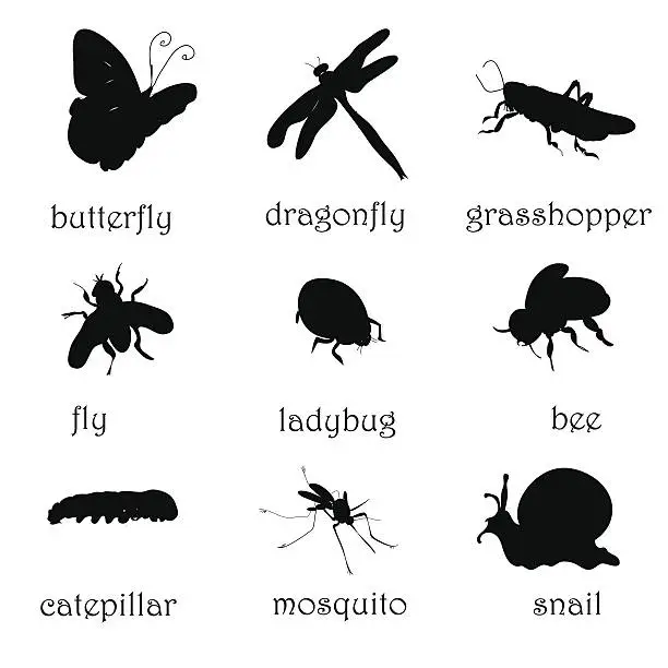 Vector illustration of Insects Silhouettes Set