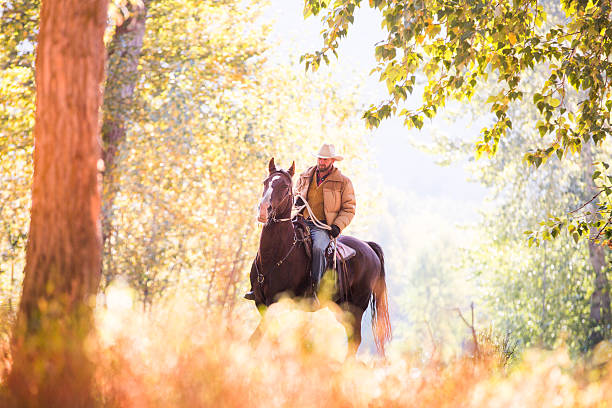 istock Man horseback riding on sunny clear winter morning 504036665