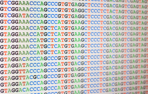 Photo of aligned DNA sequences displayed on a computer screen. Shallow depth of focus with sharpest focus towards the left hand side of the image. Letters on the right hand side are out of focus but still recognisable.