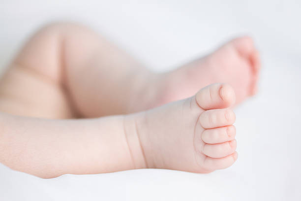 istock Newborn baby feet 504037724