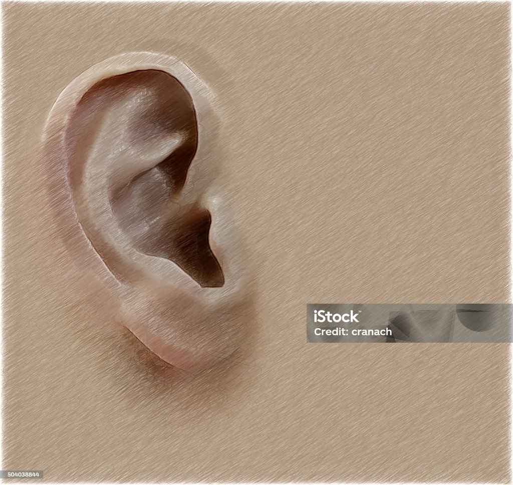Human ear. Digital illustration in draw, sketch style.  Background Digital illustration in draw, sketch style. Adults Only Stock Photo