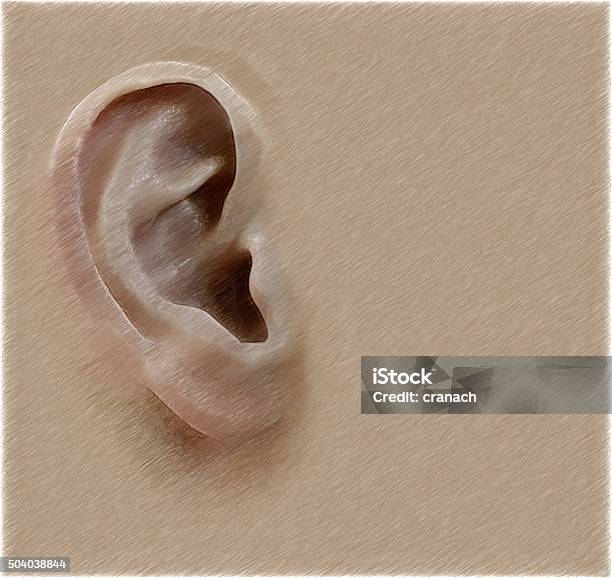 Human Ear Digital Illustration In Draw Sketch Style Background Stock Photo - Download Image Now