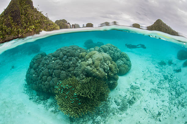 istock Corals and Beautiful Tropical Lagoon 504039410