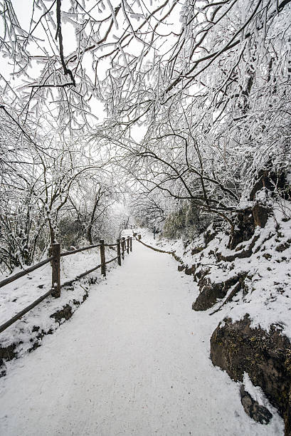 istock path in the Emei Mountain in winter -Leshan, Sichuan, China 504041528