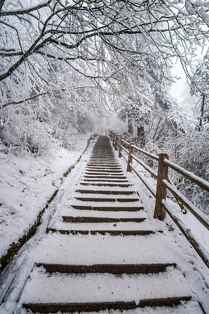 istock path in the Emei Mountain in winter -Leshan, Sichuan, China 504041696