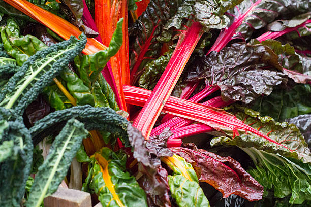 istock Rainbow Chard in Borough Market, London 504043404