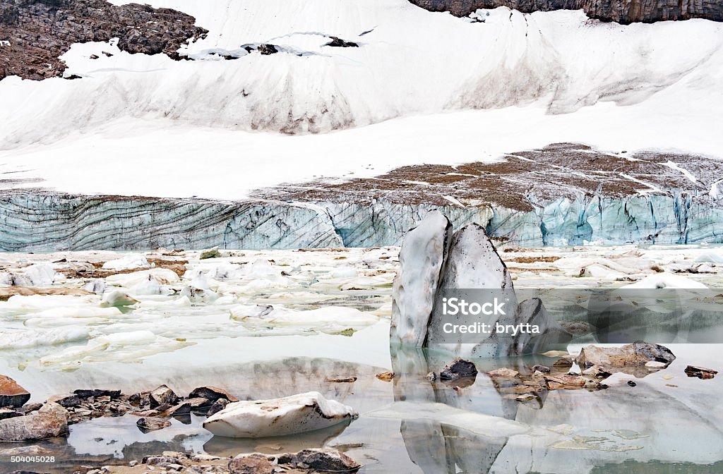 Ice floe in Cavell Pond, Jasper National Park,Canada Ice floe reflected in Cavell Pond, a pond with ice floes calved from the glacier at the base of Mount Edith Cavell, Jasper, Jasper National Park,Alberta,Canada. Alberta Stock Photo Ice floe in Cavell Pond, Jasper National Park,Canada Ice floe reflected in Cavell Pond, a pond with ice floes calved from the glacier at the base of Mount Edith Cavell, Jasper, Jasper National Park,Alberta,Canada. Alberta Stock Photo
