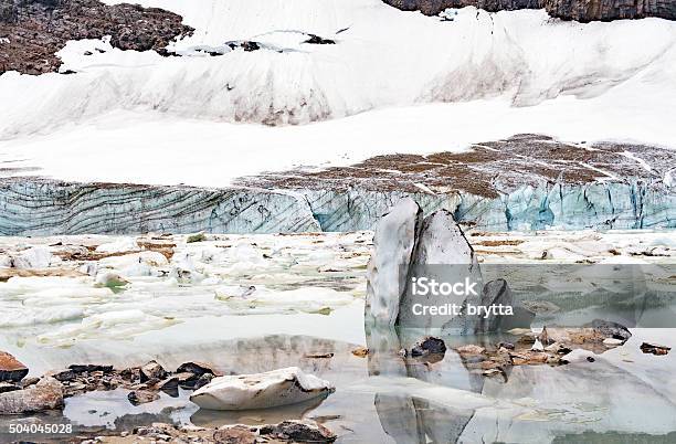 Ice Floe In Cavell Pond Jasper National Parkcanada Stock Photo - Download Image Now
