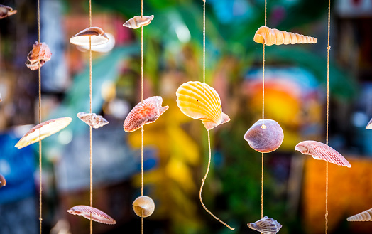 Sea shells souvenirs somewhere in Dominican Republic