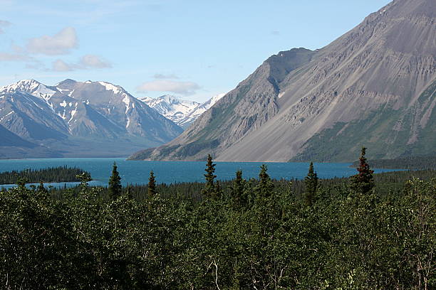 istock Kluane National Park - Yukon, Canada 504045558