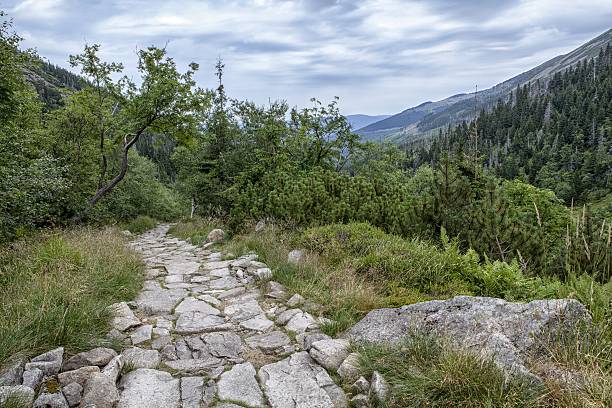 istock Karkonosze (Giant) mountains in Poland 504047096