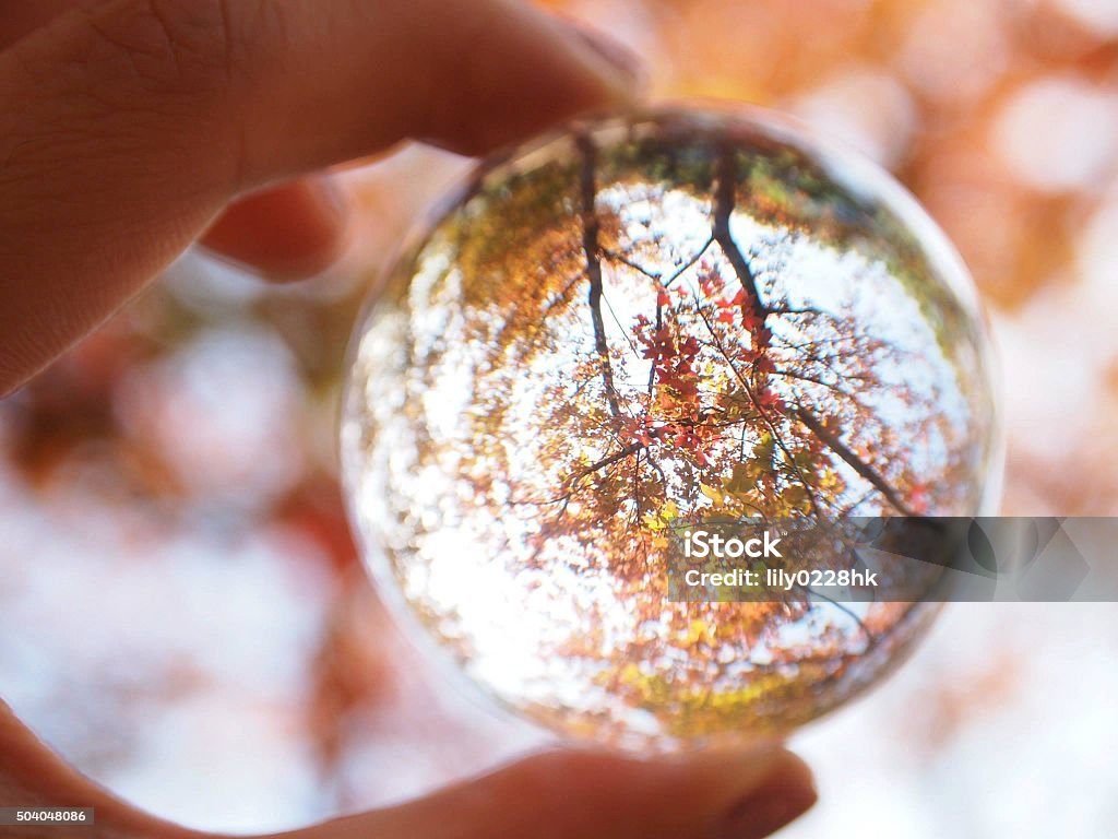 crystal ball Autumn Stock Photo